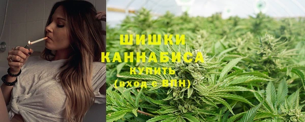 дживик Магас